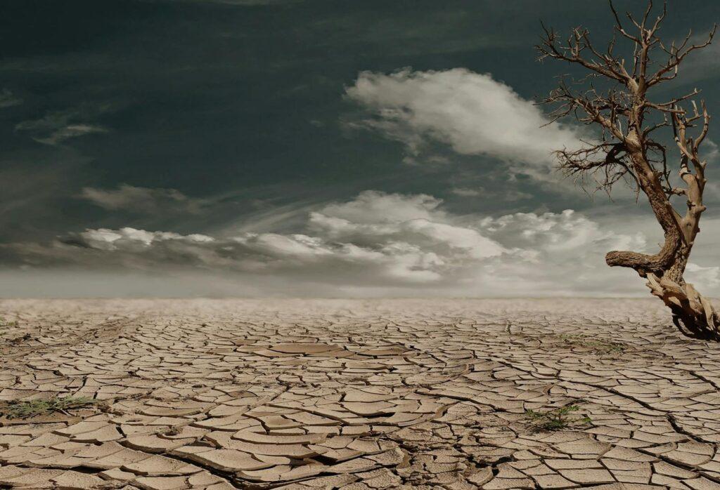 cambio climático