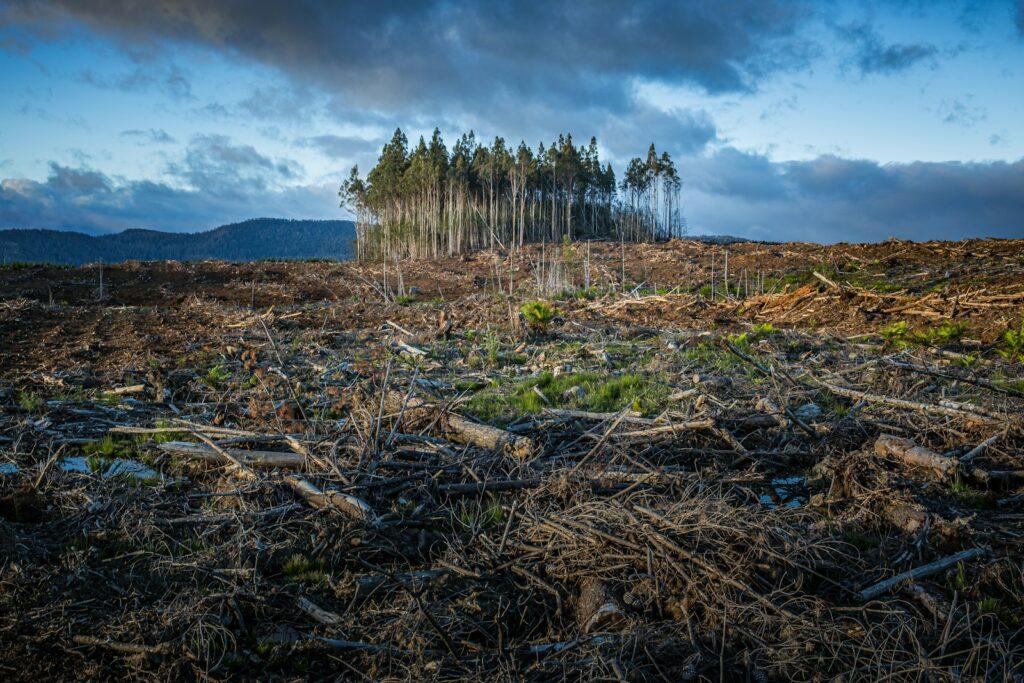 cambio climático al valor de los terrenos